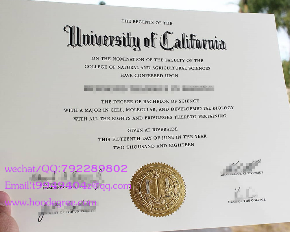 美国加州大学河滨分校毕业证University of California at riverside（UCR） degree certifcate