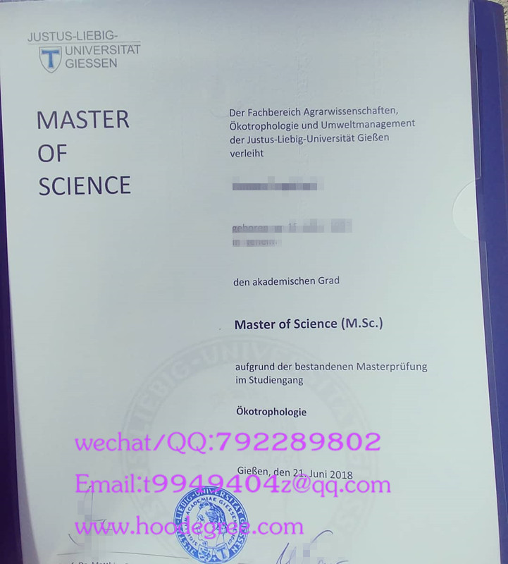 德国吉森大学硕士学位证Justus-Liebig-Universität Gießen degree certificate