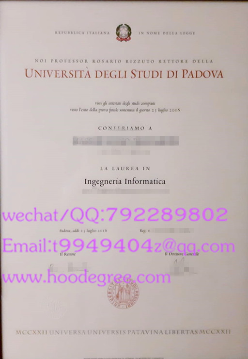 Università degli Studi di Padova diploma帕多瓦大学毕业证书