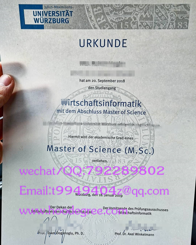 Universität Würzburg masterurkunde 维尔茨堡大学毕业证书