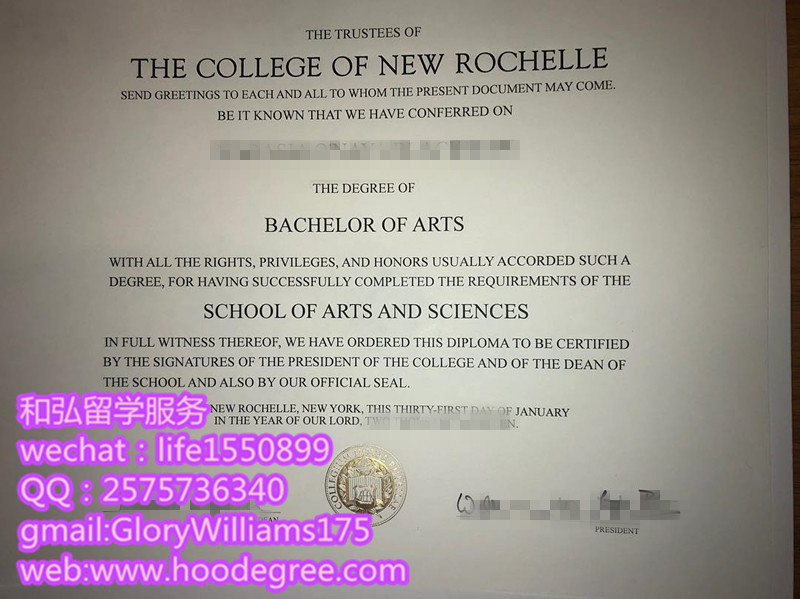 diploma from the college of new rochelle新罗歇尔学院毕业证