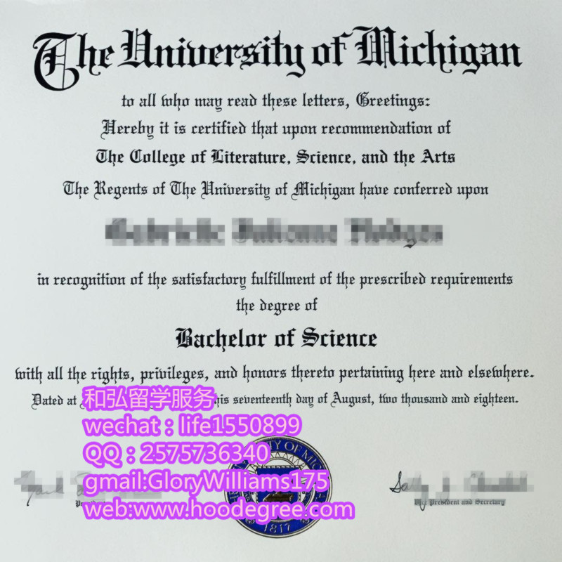 diploma from The University of Michigan密歇根大学毕业证书