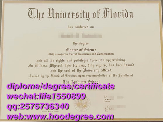 degree of The University of Florida佛罗里达大学毕业证书
