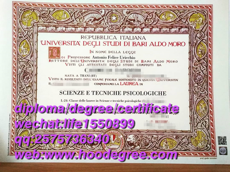 diploma of Università degli Studi di Bari Aldo Moro意大利巴里大学毕业证书