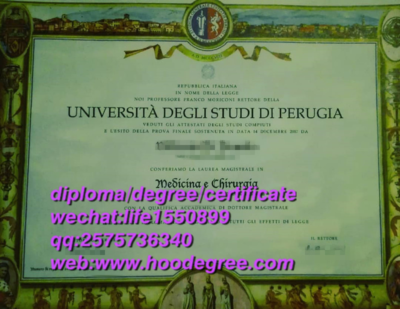 diploma of Università degli Studi di PERUGIA意大利佩鲁贾大学毕业证书