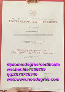 diploma of  Università degli Studi di Padova意大利帕多瓦大学毕业证书